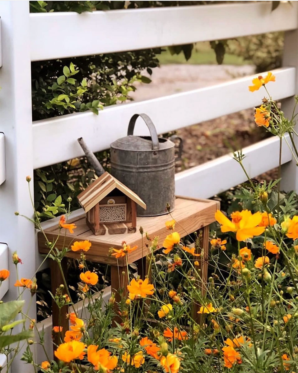 garden in a box kit boulder on Gardener Buyer S Guide Spring 2021 Finegardening