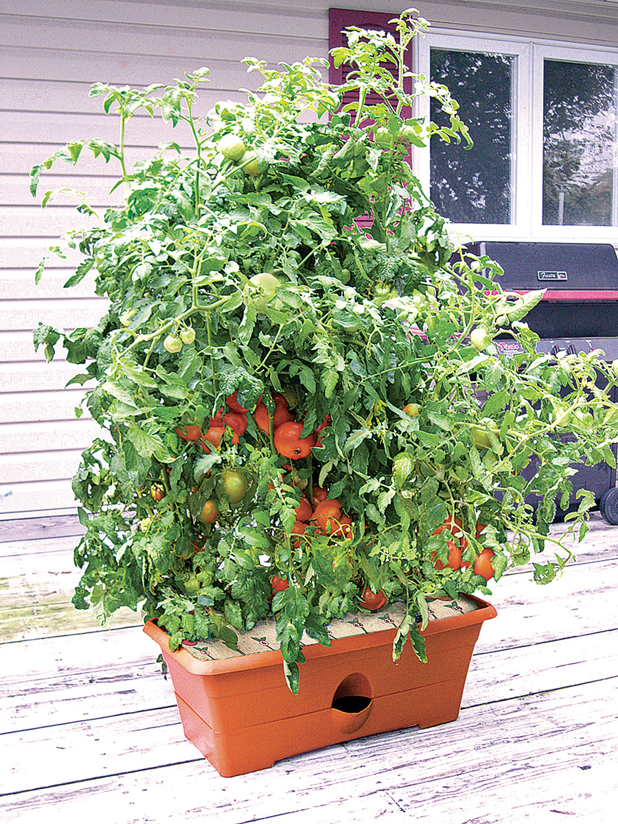 garden in a box kit boulder on Gardener Buyer S Guide Spring 2021 Finegardening