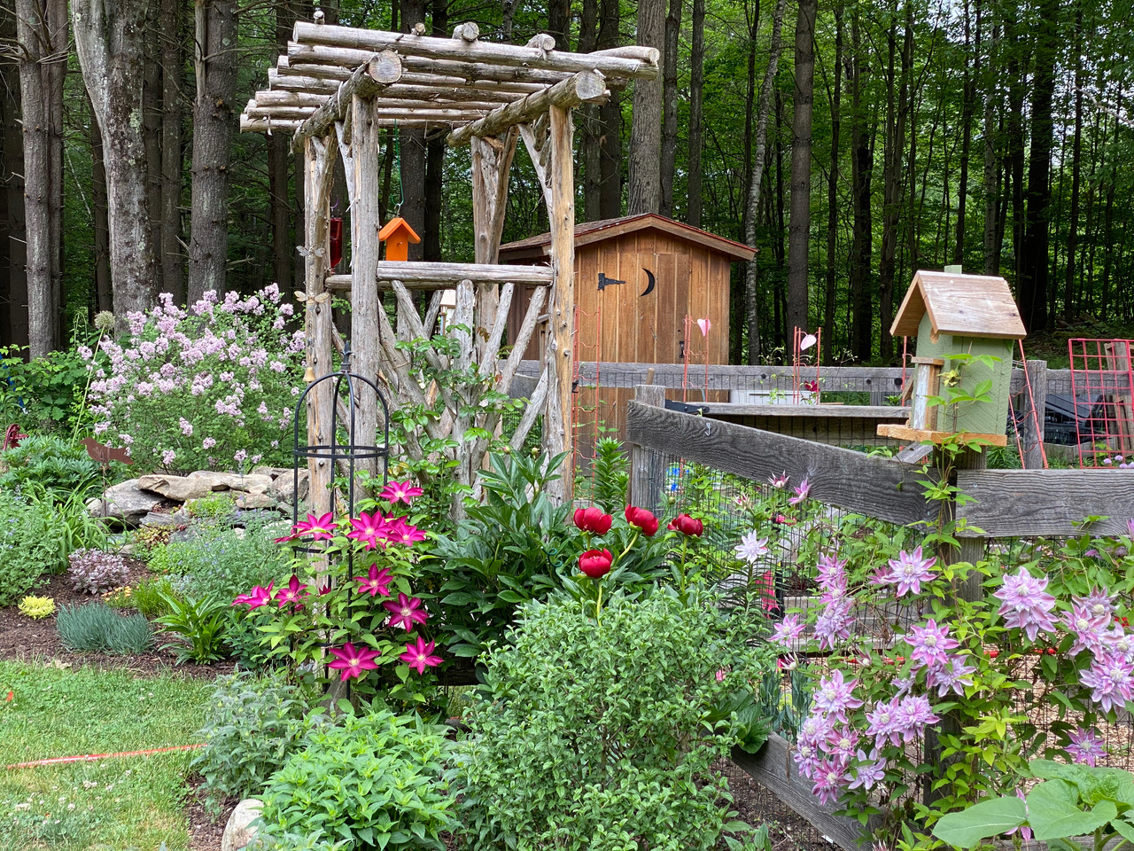 Shelley S Upstate New York Garden Finegardening