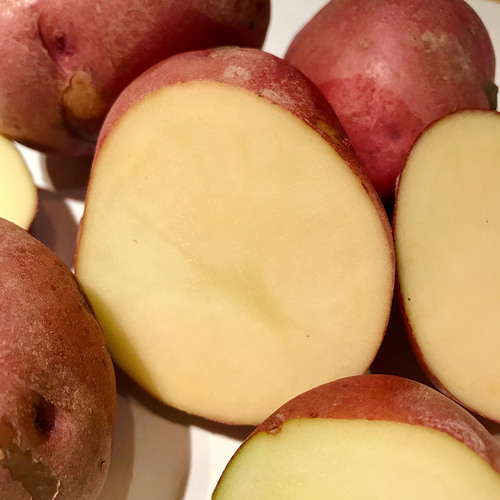 Growing Potatoes in Northern California Fine Gardening