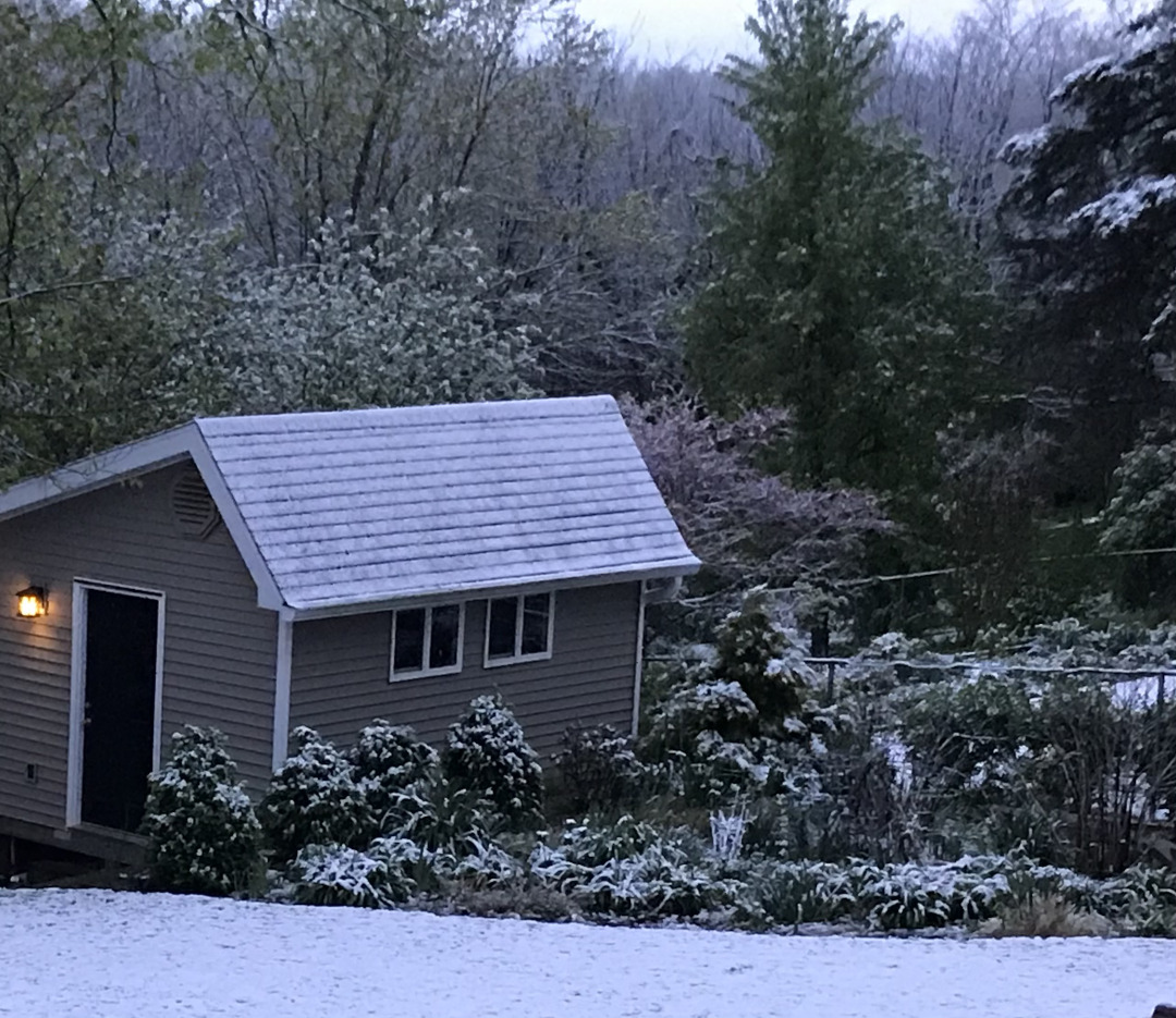 perennial border covered in snow