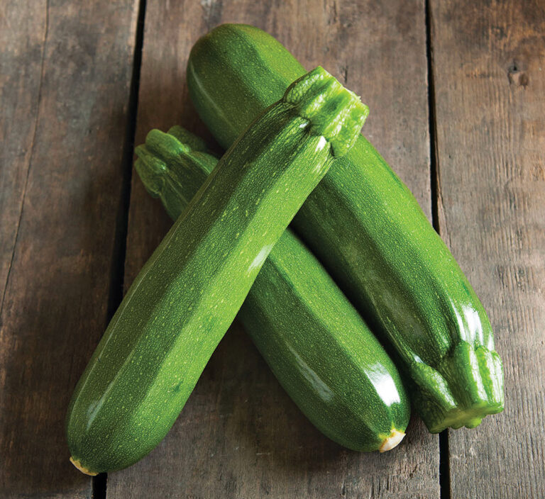 10 Tasty Zucchini Varieties for Your Vegetable Garden Fine Gardening