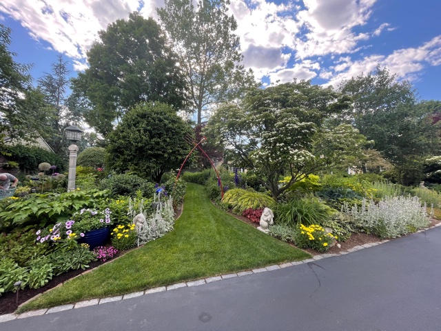 wide view of garden from the street with trees and garden arch