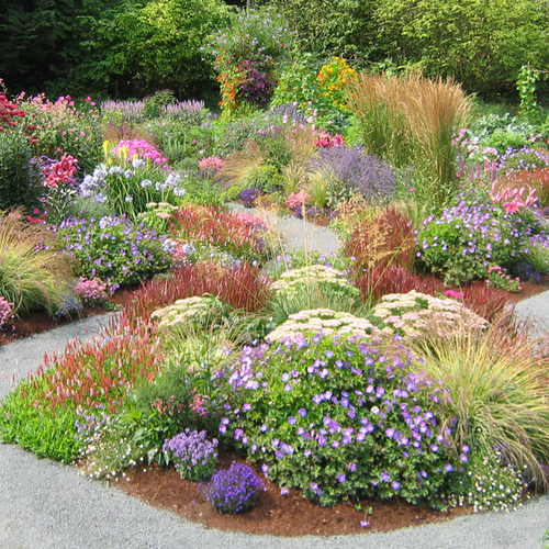 Tour A Garden That Overflows With Plants And Color Finegardening