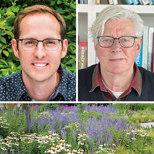 experts on naturalistic gardens