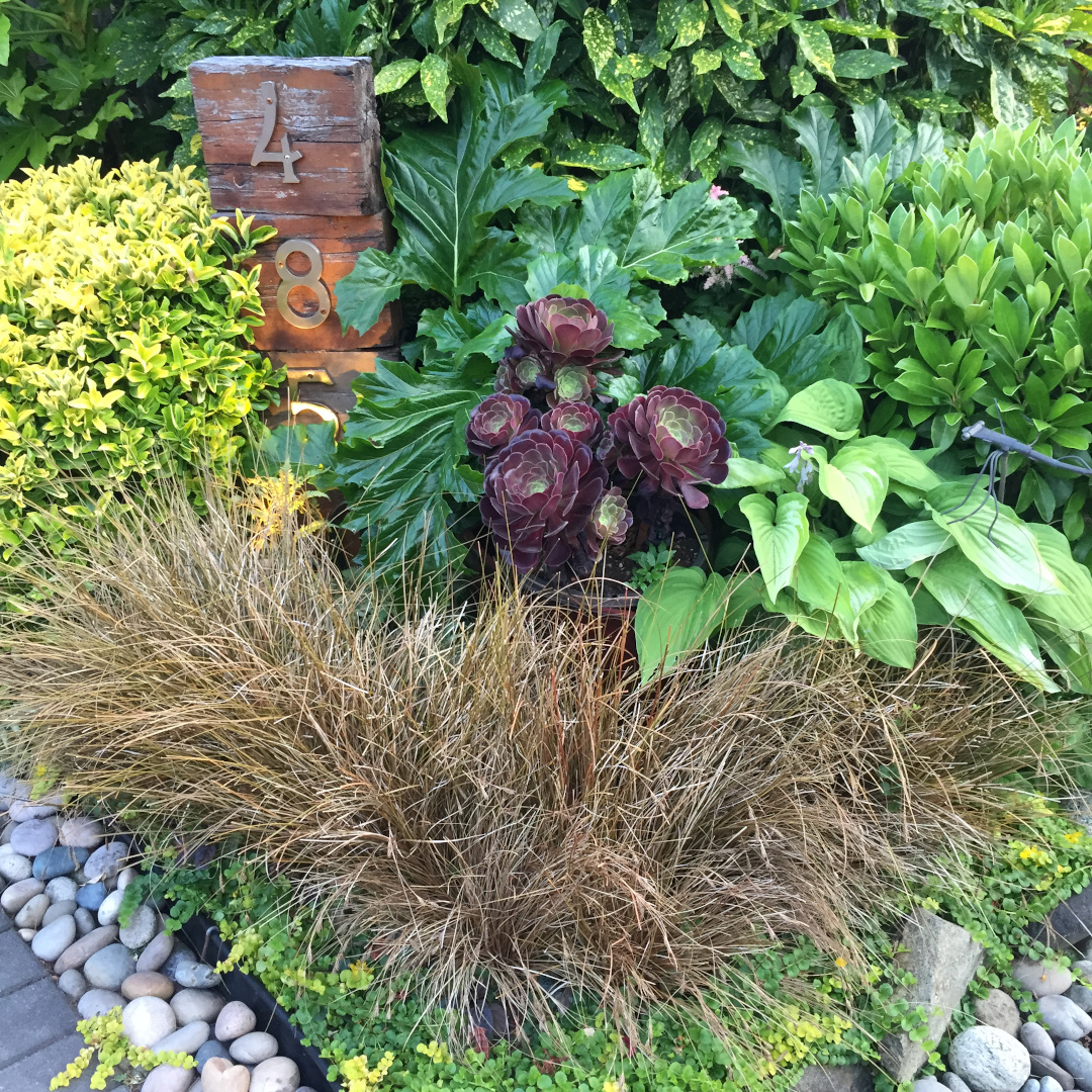 garden bed with lots of texture