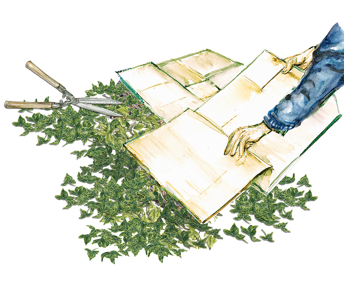 How to Get Rid of Invasive Plants Fine Gardening