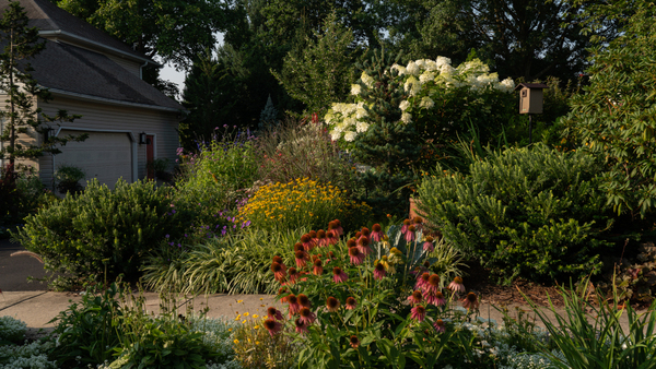 Late Summer in Kevin's Garden - FineGardening - Vimarsana News