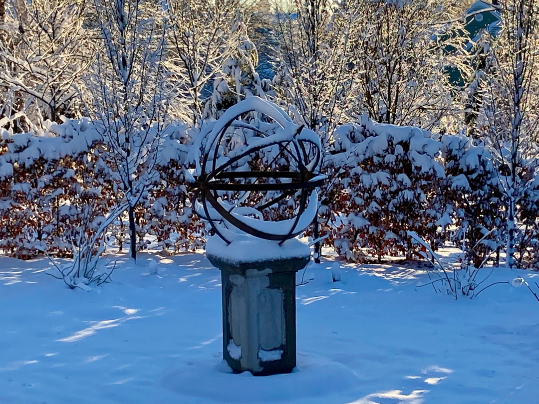 white and green garden covered in snow