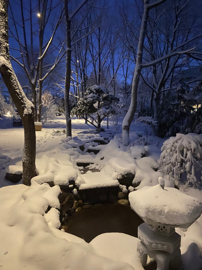 Japanese-inspired garden in winter.