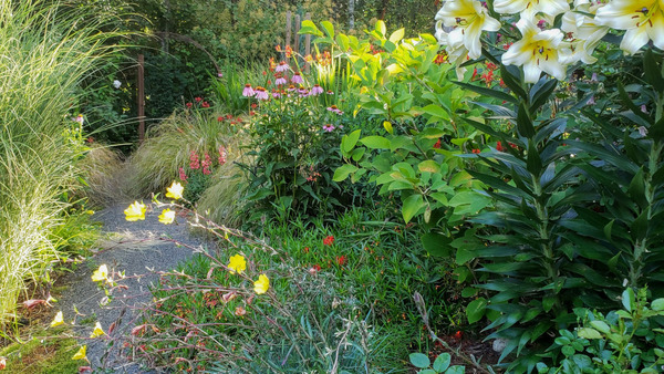 Looking Back at Katie's Garden - FineGardening - Vimarsana News