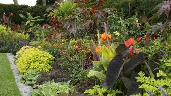 Tour A Garden That Overflows With Plants And Color Finegardening
