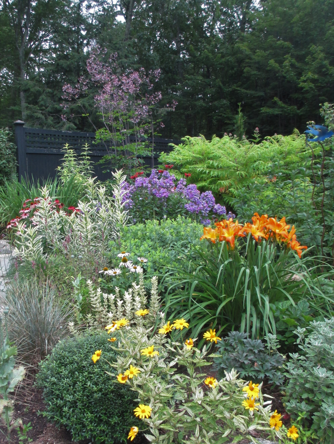 Cama de jardín llena de coloridas flores florecientes