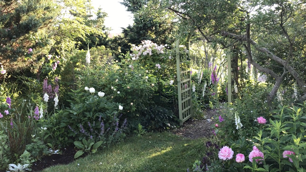 Tour a Cottage Garden Bursting With Blooms - Vimarsana News