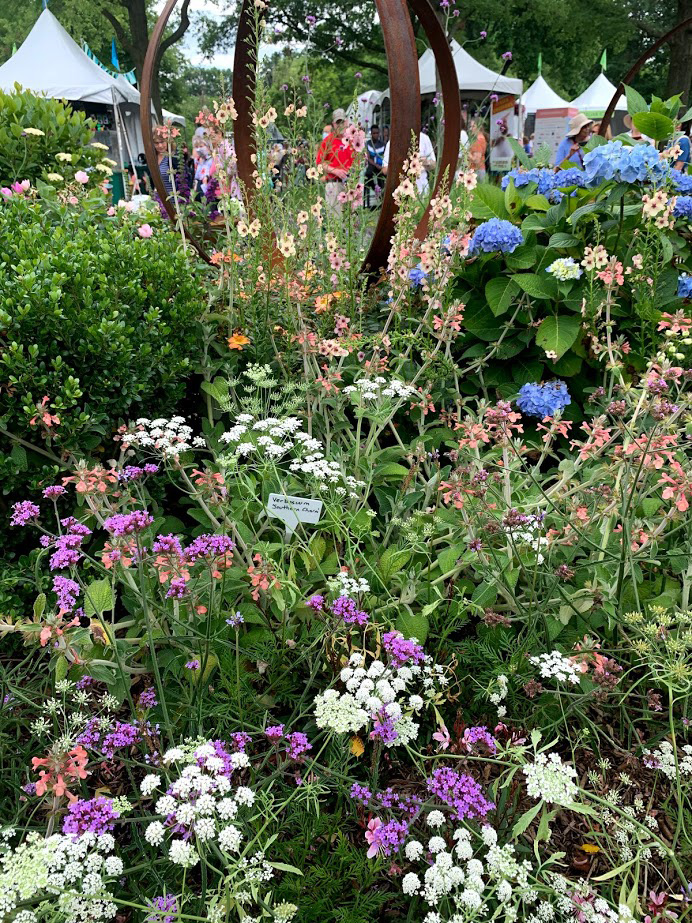 colorful display garden full of flowers