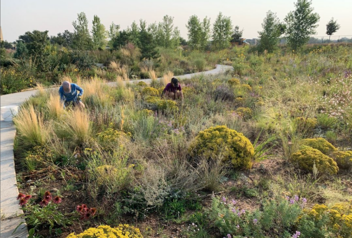 Gardening in Northern Colorado - Fine Gardening