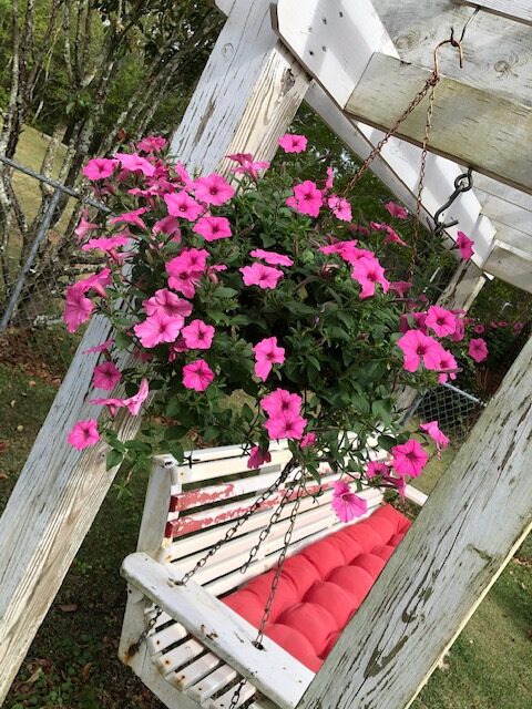 cesta colgante llena de flores de color rosa claro