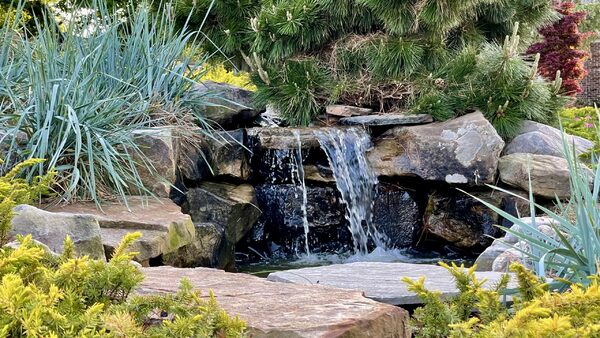 A Garden Jay Made in North Carolina - FineGardening - Vimarsana News