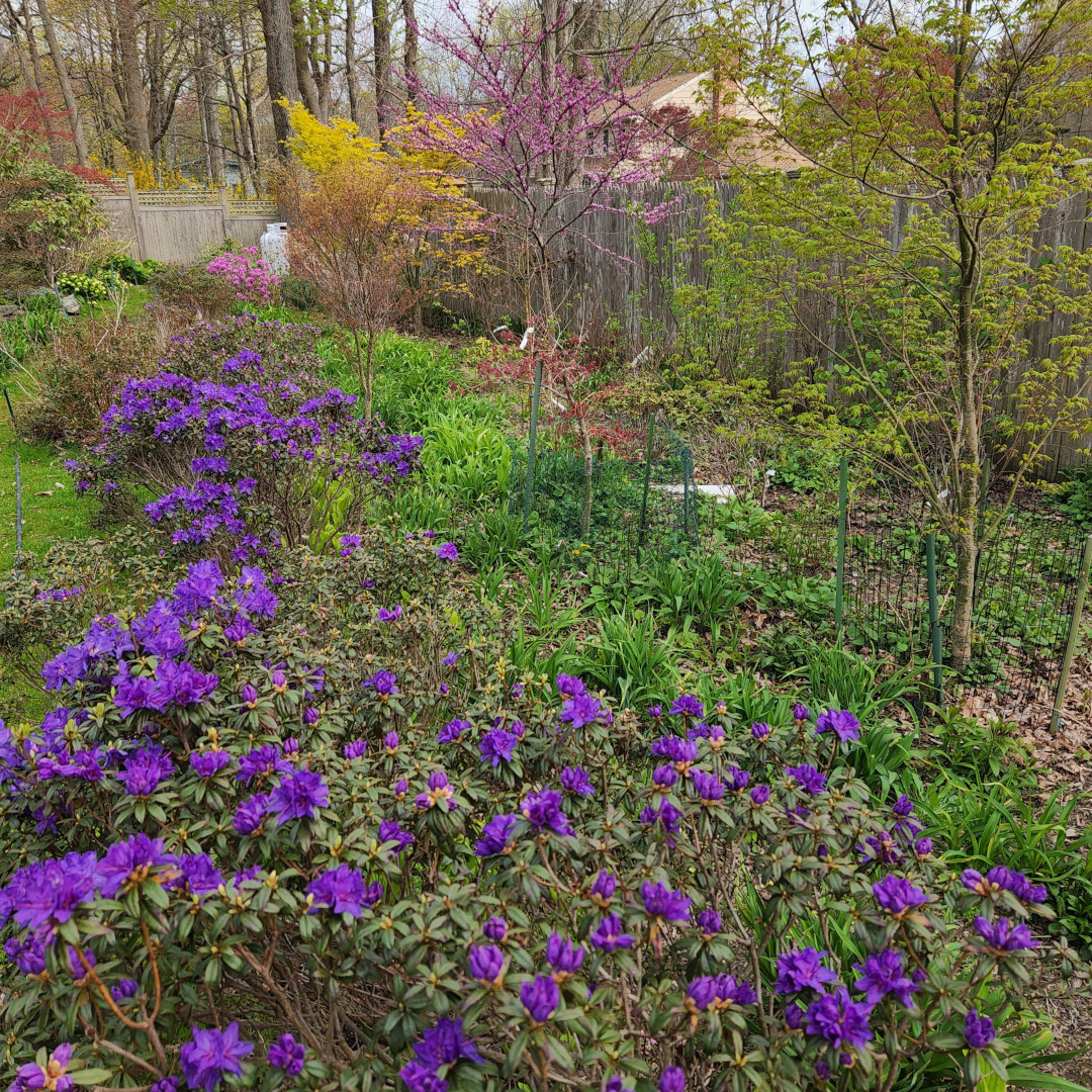 Amplia vista del jardín de primavera