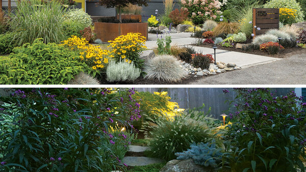 Two Plans for Small Urban Gardens with Big Impact - Vimarsana News