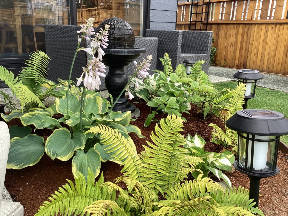 A Year Into a New Garden Space FineGardening