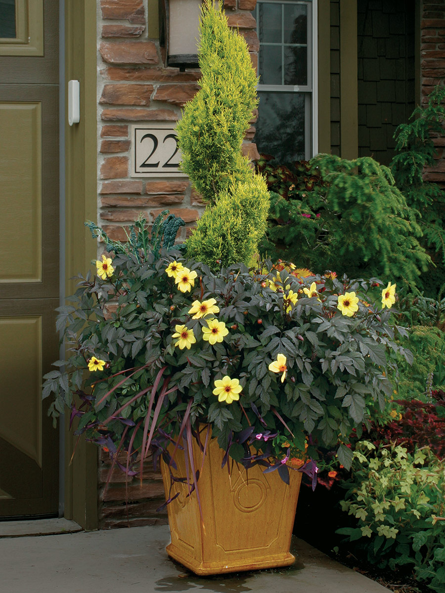 Key Container Entryway Designs for Entryway Containers - Fine Gardening