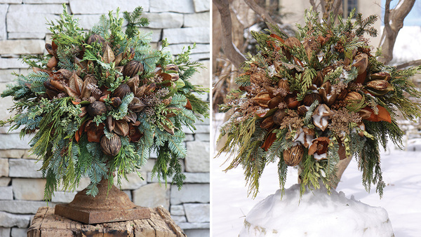 6 Winter Container Ideas - FineGardening