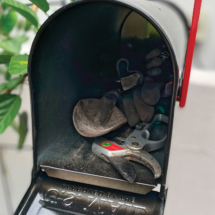 Tips About Deer Control, Tomato Cages, Containers, and Garden Tools