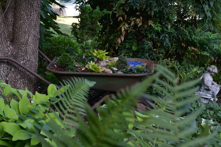 Mini jardín plantado en una carretilla