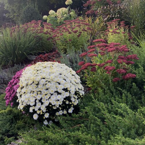 October in Alice’s Garden