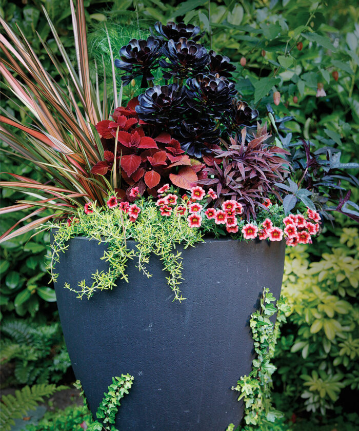 Stand-Out Designs for Stand-Alone Containers: Part 1 - Fine Gardening