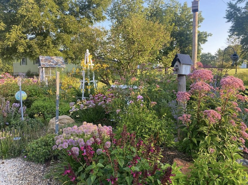 Jardín polinizador lleno de flores rosas