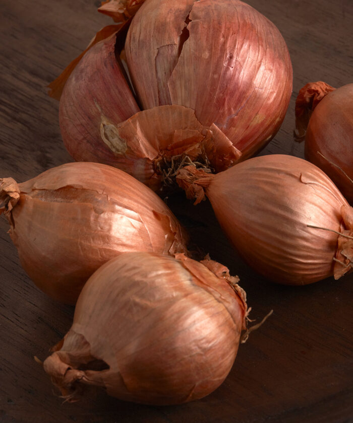 Growing Shallots in the Southern Plains Fine Gardening
