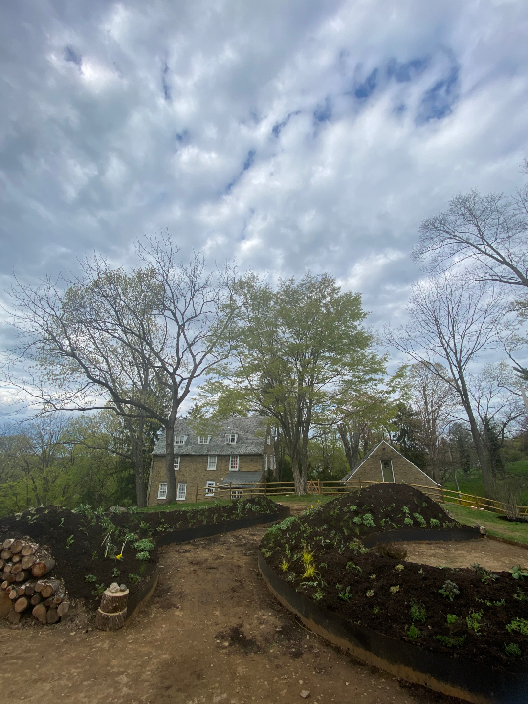 hugel garden with new plantings