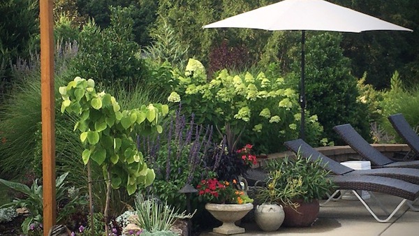 Lisa's North Carolina Garden - FineGardening - Vimarsana News