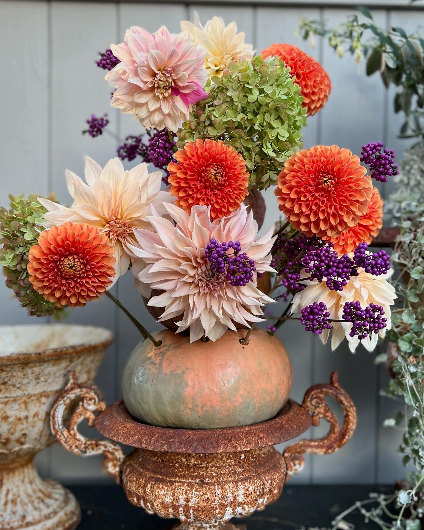 pumpkin arrangement with dahlias and berries