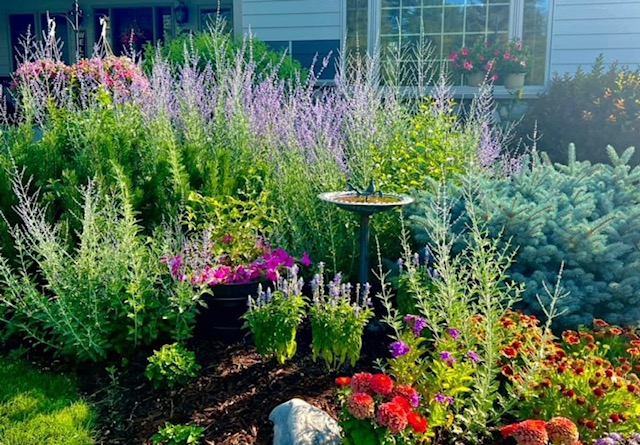 garden bed full fo pink and purple flowers