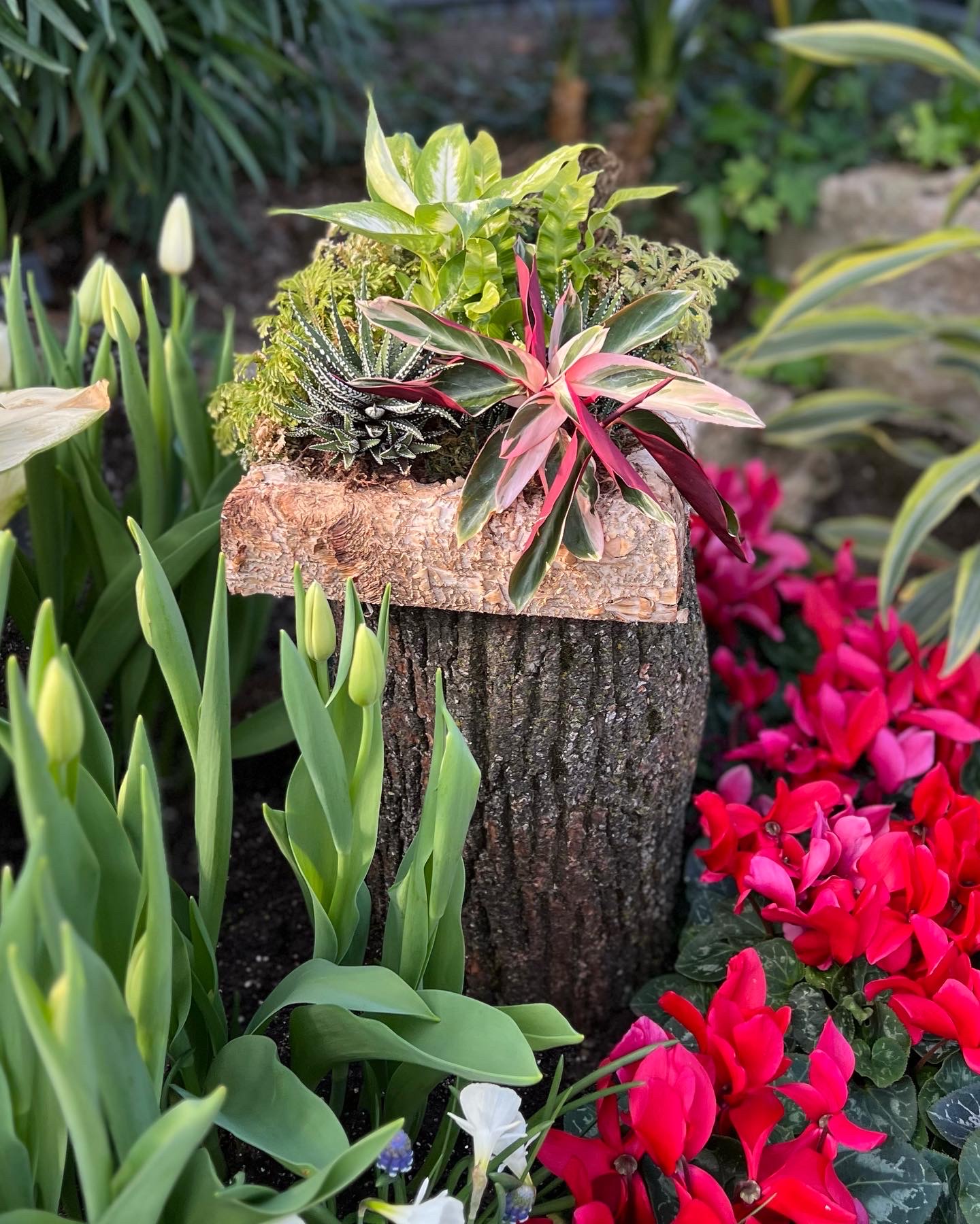 pink flowers around a stump topped with foliage plants