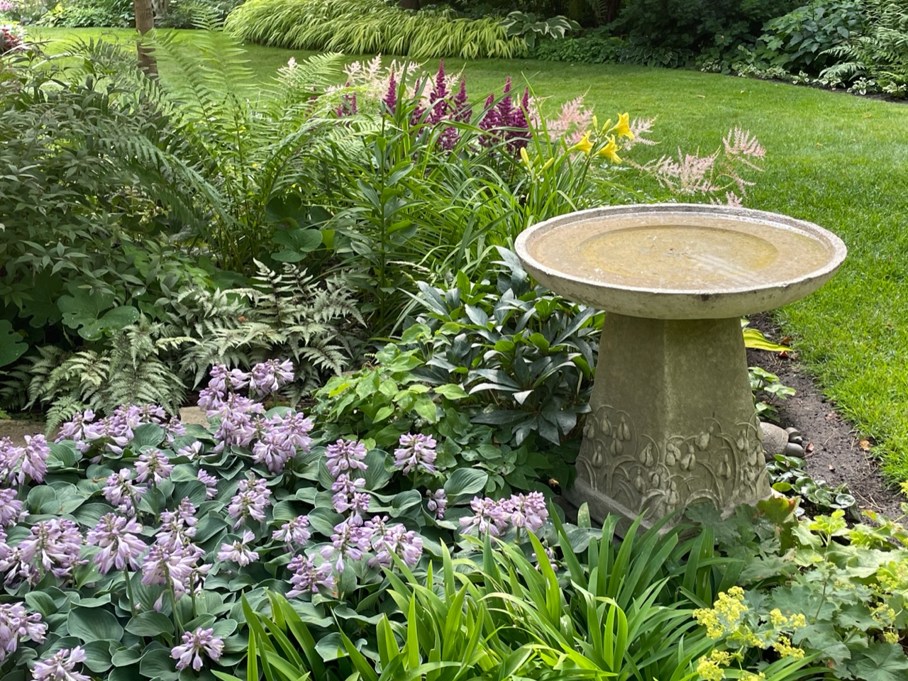 Bath Time! (for Birds) - Fine Gardening