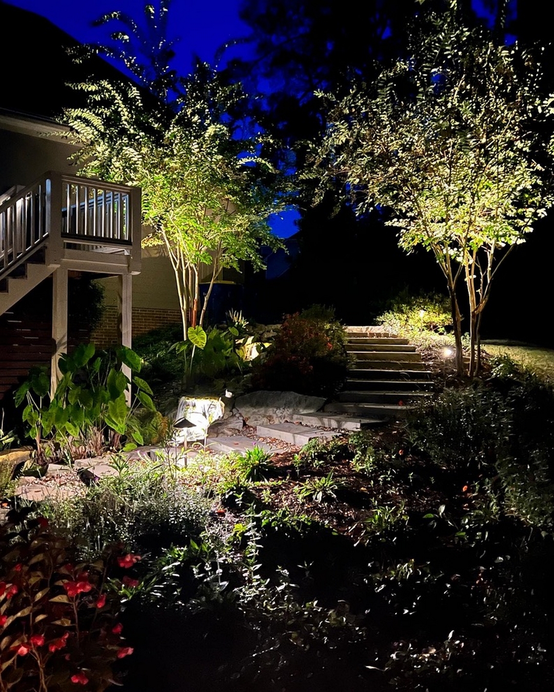 The Garden at Night - Fine Gardening