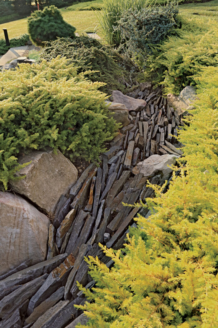 5 Inspiring Naturalistic Dry Creek-Bed Designs - Fine Gardening