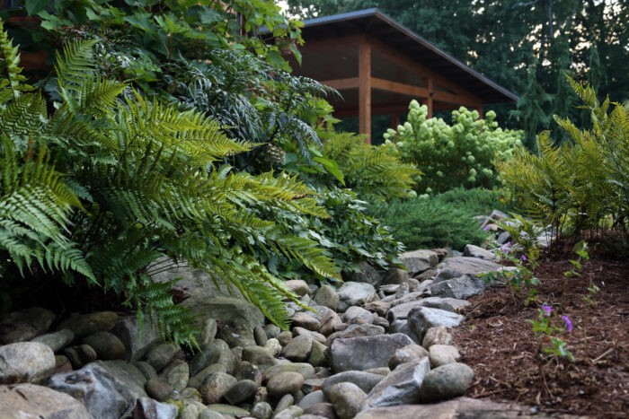 5 Inspiring Naturalistic Dry Creek-Bed Designs - Fine Gardening