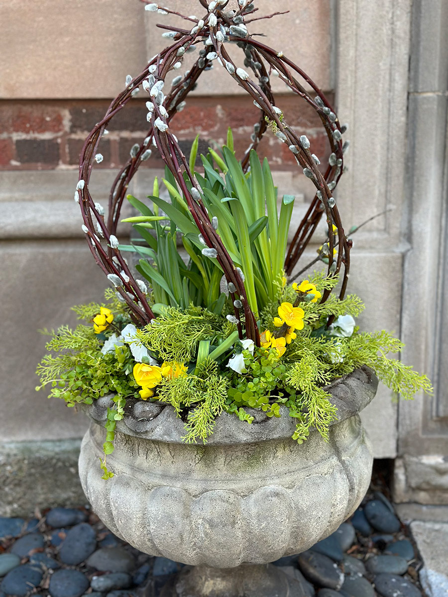 Spring Container Drawings Howard’s Spring Container Displays - Fine Gardening