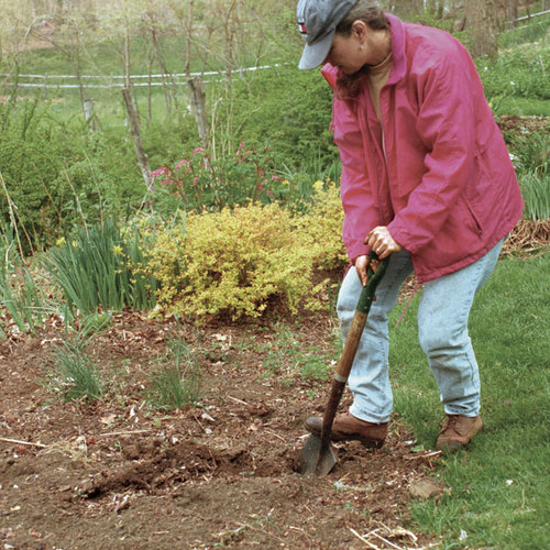 Remaking a Bed Fine Gardening