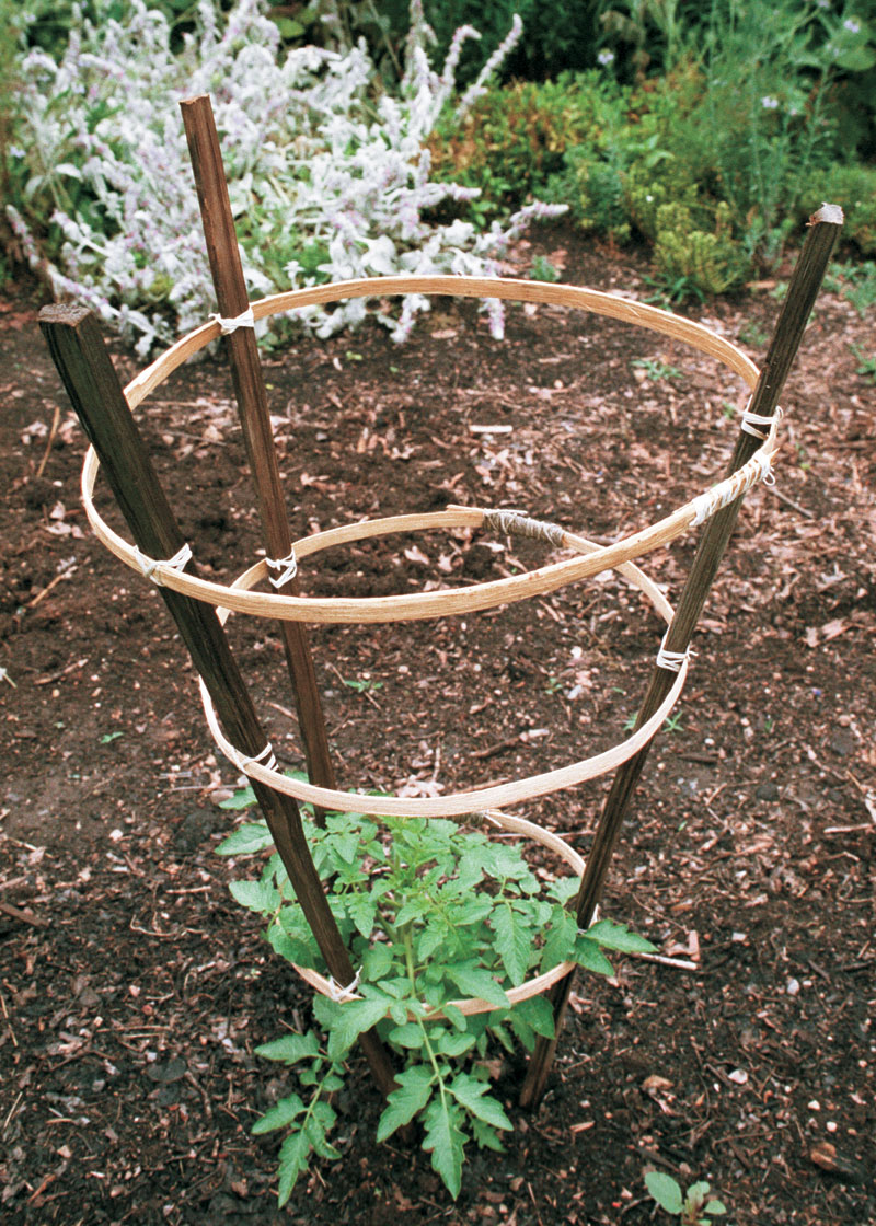 Three Garden Structures You Can Build - FineGardening