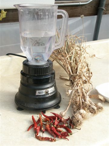 Garlic and Chile Insecticidal Soap Spray - FineGardening