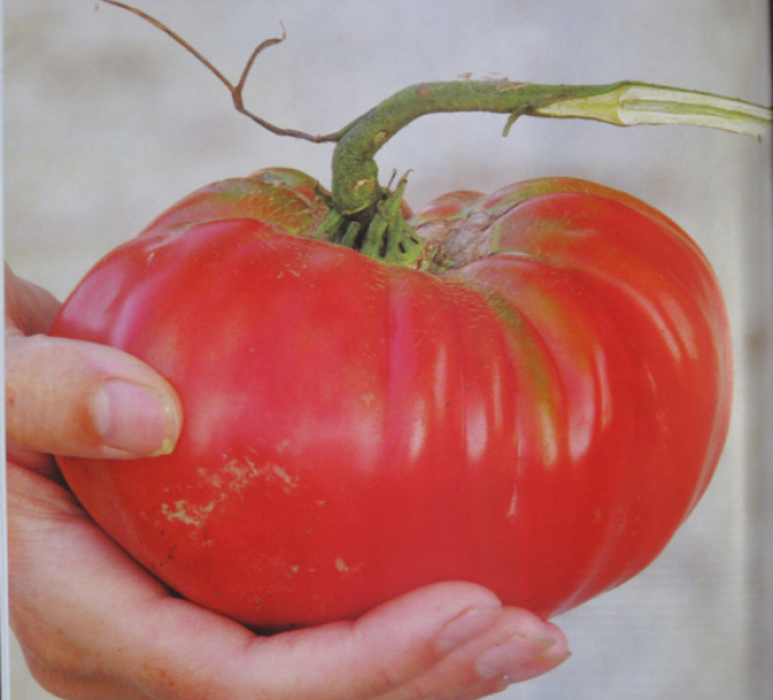 Ever Seen a Baker Creek Heirloom Seeds Catalog? FineGardening