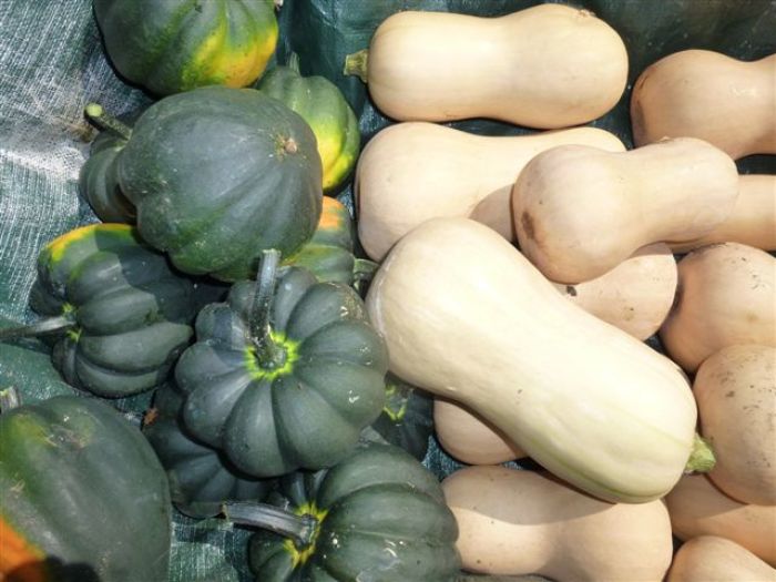 September in the Garden: Time to Harvest and Preserve - FineGardening