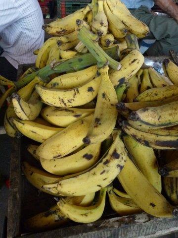 Plantains: Add a Tropical Twist to Ho-Hum Winter Fare - FineGardening