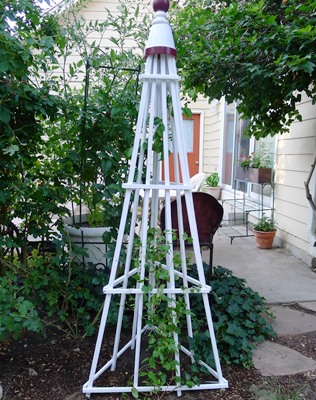 New Ideas In Vertical Vegetable Gardening Finegardening